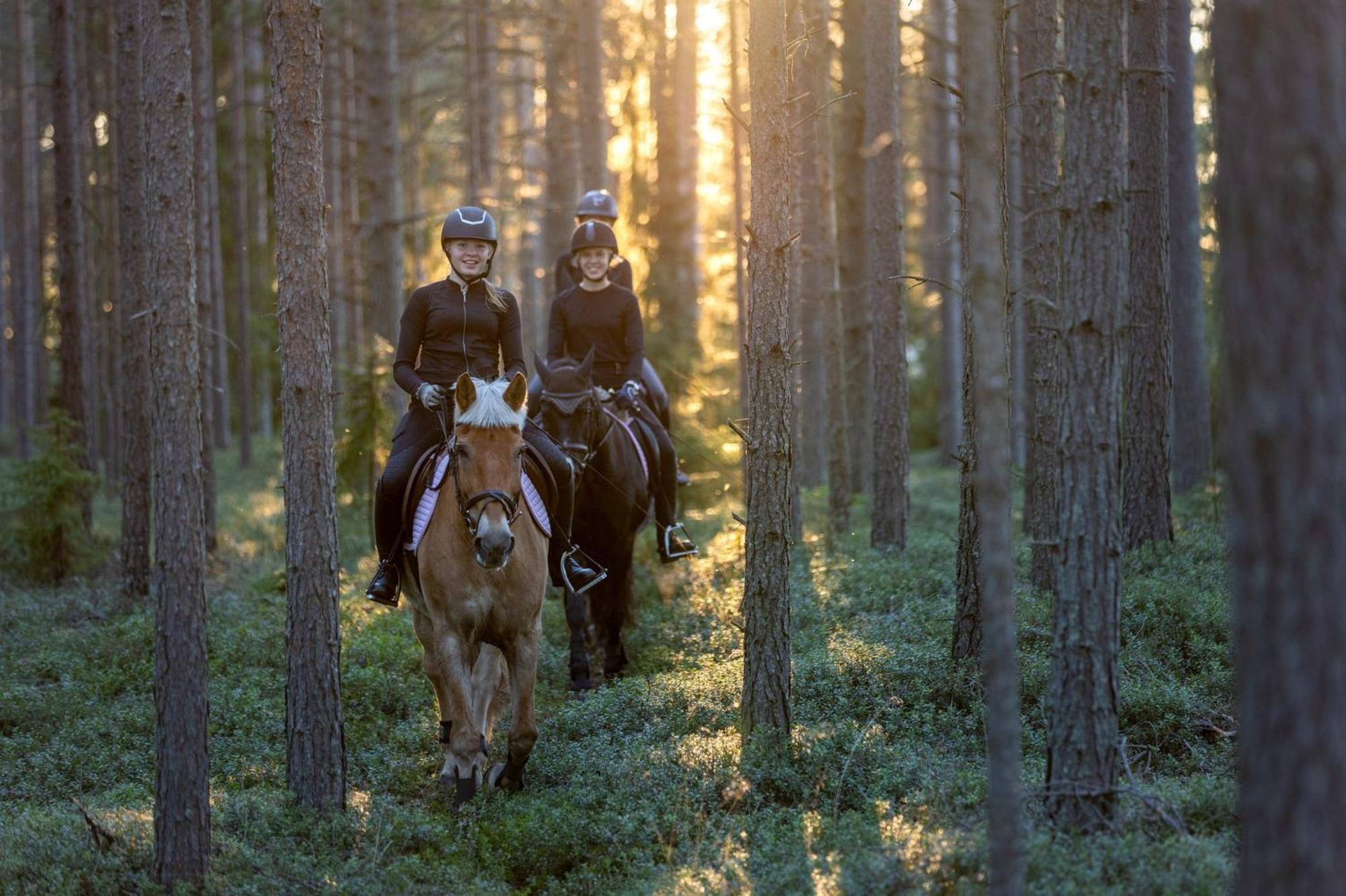 Sandy Kelt - Irish House Apartments Kalajoki Esterno foto